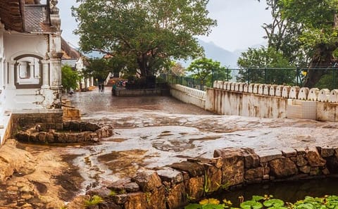 10-Day Cultural and Beach Tour of Sri Lanka's Coastline