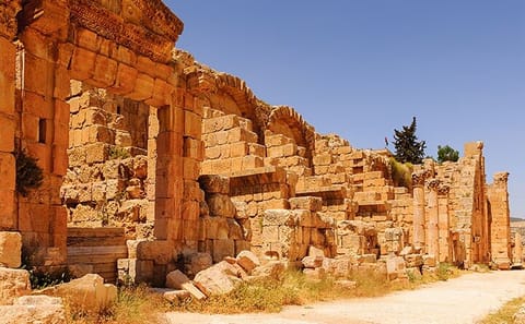 Private Day Tour to Jerash and Ajloun from Dead Sea