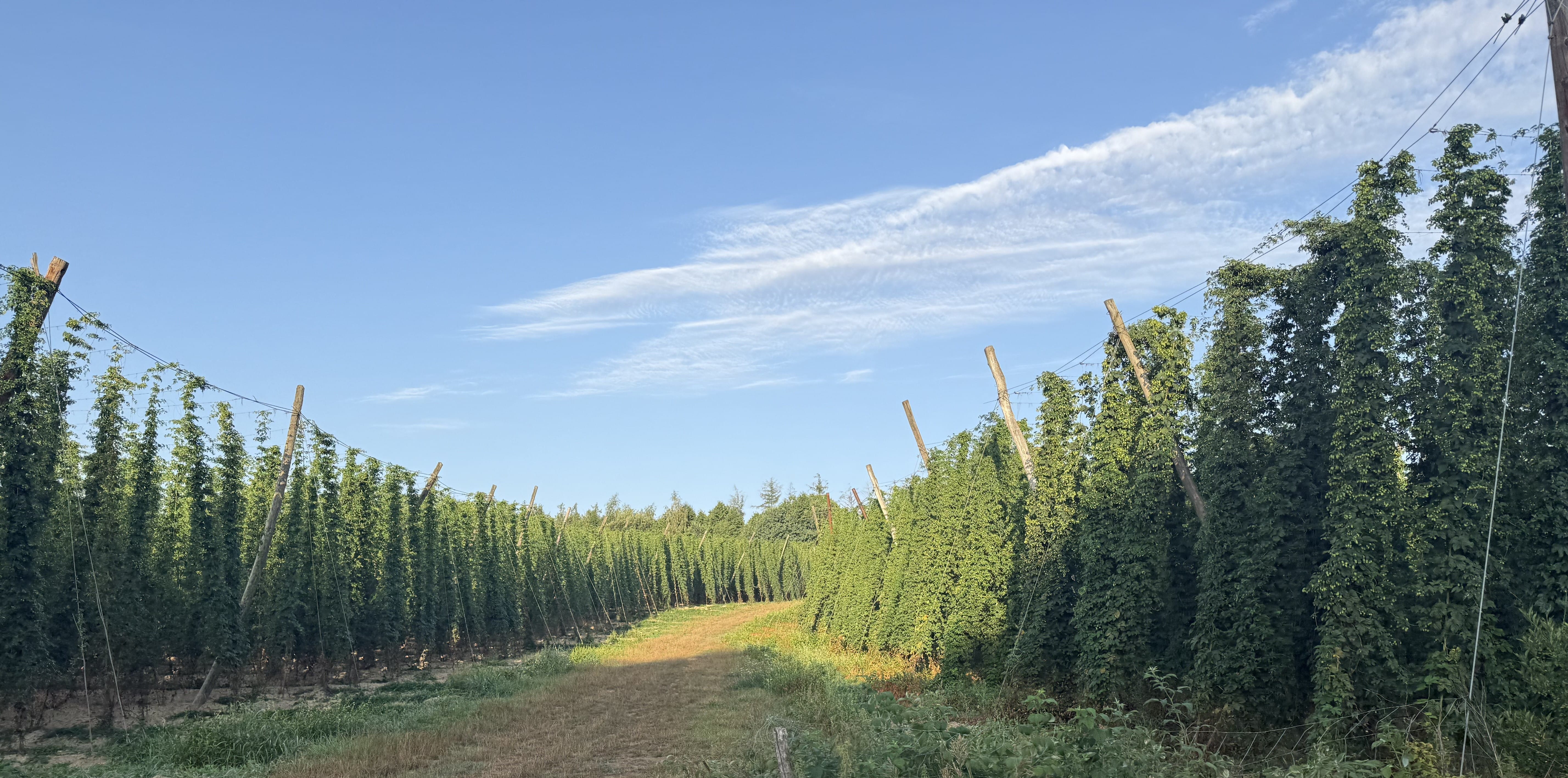 Hopfengärten Wanderung