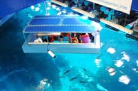 VIP Aquarium 2