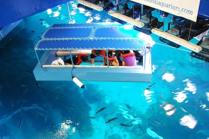 VIP Aquarium 2
