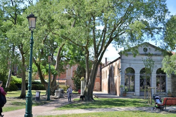 Venice Hidden Gardens: Secret Walking Tour 