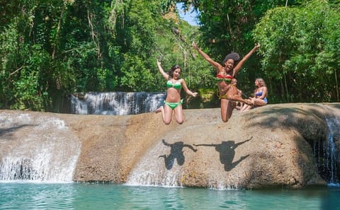Private YS Falls and Black River Safari from Montego Bay