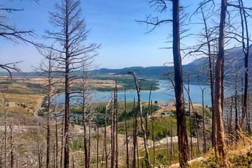 Day Tour to Waterton National Park from Calgary