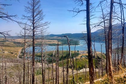 Waterton National Park Adventure Day tour from Calgary