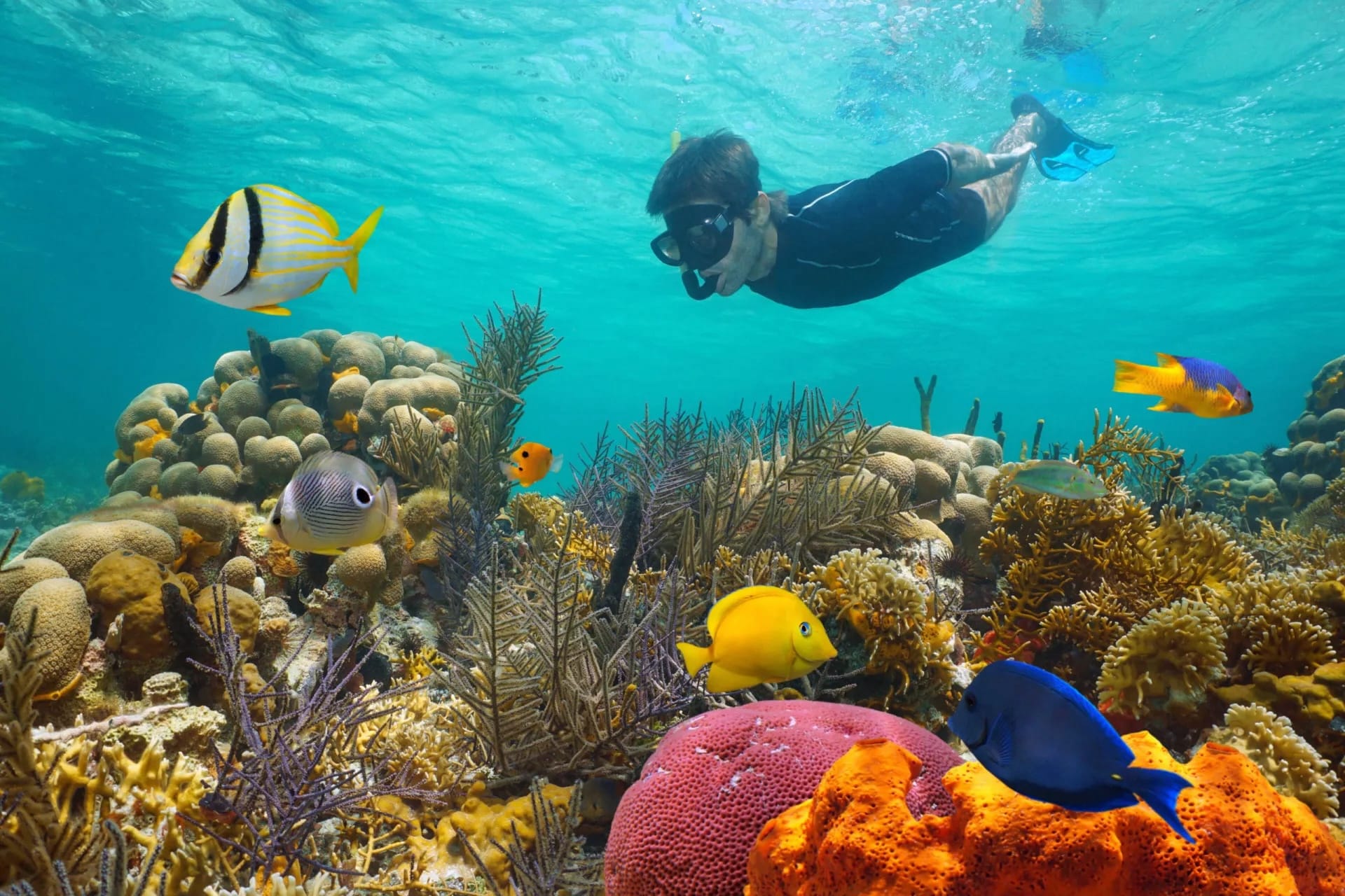 Miami to Key West Day Trip: Is It Worth It?