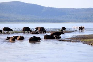 2-Day ATV and Wildlife Tour in Hell's Gate and Lake Nakuru