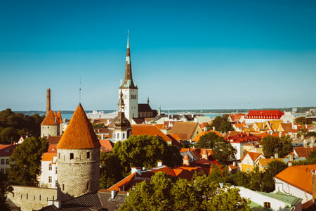 Private Day trip to Tallinn from Helsinki/ VIP car & sightseeing
