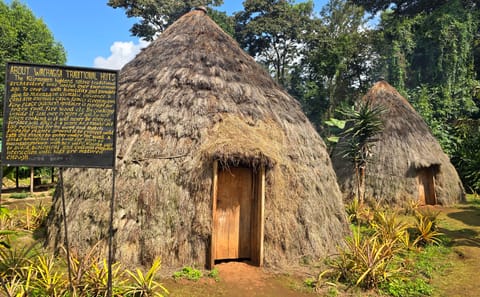 Kilimanjaro: Marangu Day Trip | Waterfalls | Coffee Tour & Chagga Culture
