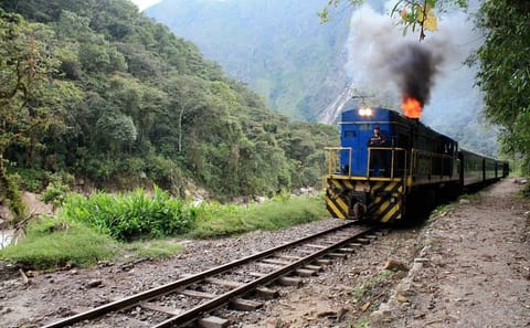 Machu Picchu by Train Day Trip with Private Guide at Machu Picchu and Peruvian Meal