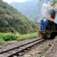 Take the train to Machu Picchu