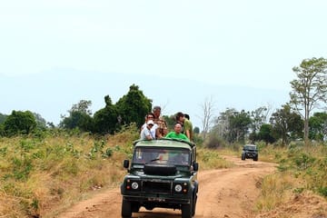 Udawalawe Safari Tour from Negombo