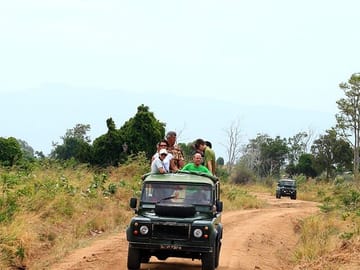 Udawalawe National Park Safari Tour from Negombo