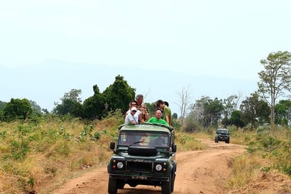 Udawalawe Safari Tour from Negombo