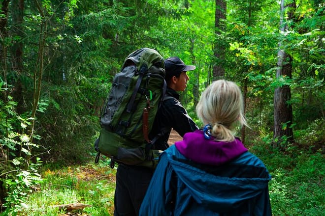 Berry Picking in a National Park 8