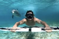 Private Speed Boat to DOLPHINS House &amp; Water activities -HURGHADA