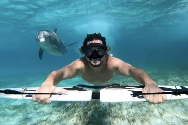 Private Speed Boat to DOLPHINS House &amp; Water activities -HURGHADA