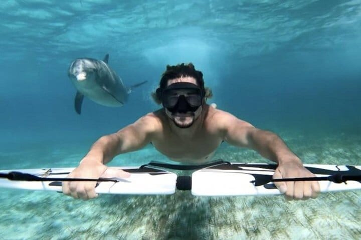 Private Speed Boat to DOLPHINS House &amp; Water activities -HURGHADA