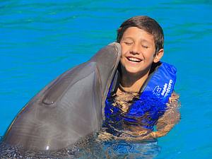DOLPHIN KIDS