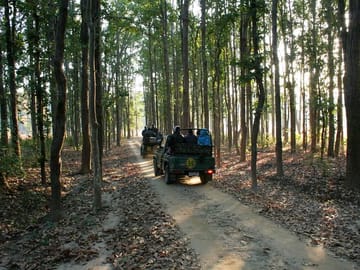 Tiger Watching and Temple Tour in Khajuraho and Nagpur
