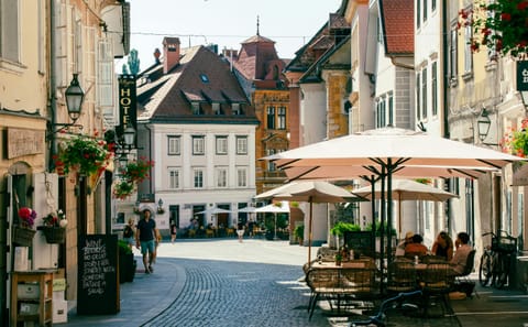 Private Guided Walking Tour of Ljubljana's Highlights