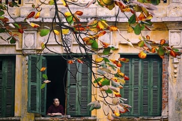 Walking Tour of Hanoi's Old Quarter: Culture and History