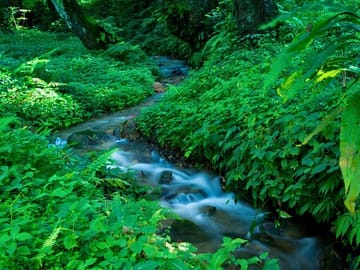 Private Day Tour of Godawari Botanical Garden in Kathmandu
