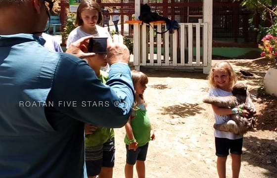 Cruise Ship Guests Sightseeing, Wildlife & Transfer Tour