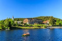 Full-Day Private Tour from Zurich to Lake Titisee Black Forest 5
