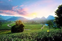 PRI Day Tour to Jiqingli Tea Plantation, Xianqiao Underground River fr Guangzhou 1