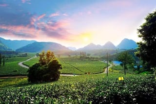 PRI Day Tour to Jiqingli Tea Plantation, Xianqiao Underground River fr Guangzhou