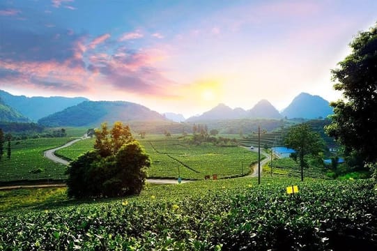 PRI Day Tour to Jiqingli Tea Plantation, Xianqiao Underground River fr Guangzhou