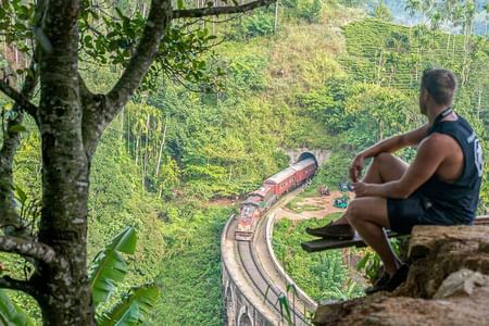 Discover Ella: Scenic Tour from Galle to Nature's Wonders