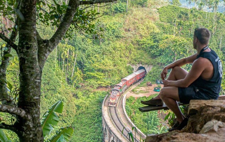 Ella Day Tour from Galle with Scenic Highlights