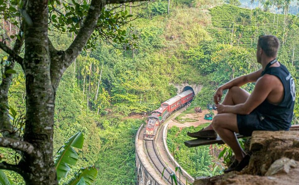 Ella Day Tour from Galle with Scenic Highlights
