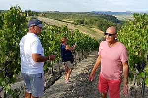 Super Tuscan Wine Tour in Chianti - visit 2 wineries Siena and Monteriggioni