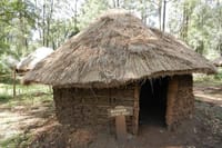 married sons hut