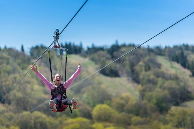 Zipline