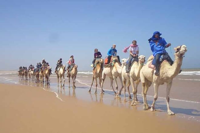 Mogador Camel Expedition Ecotour | 1 Day : Private & Luxury 6