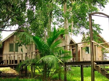 3-Day Manaus Amazon Jungle Adventure