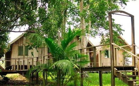 3-Day Manaus Amazon Jungle Adventure