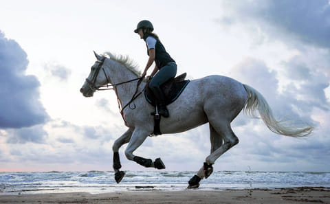 Horseback Riding Adventure in Hurghada, Egypt