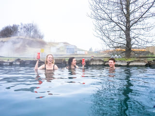 Golden Circle & Secret Lagoon, photo 18