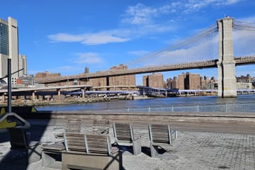 Walking Tour of Wall Street, 9/11 Memorial & Charging Bull in NYC