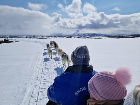 Dog Sledding and Goðafoss experience from Akureyri