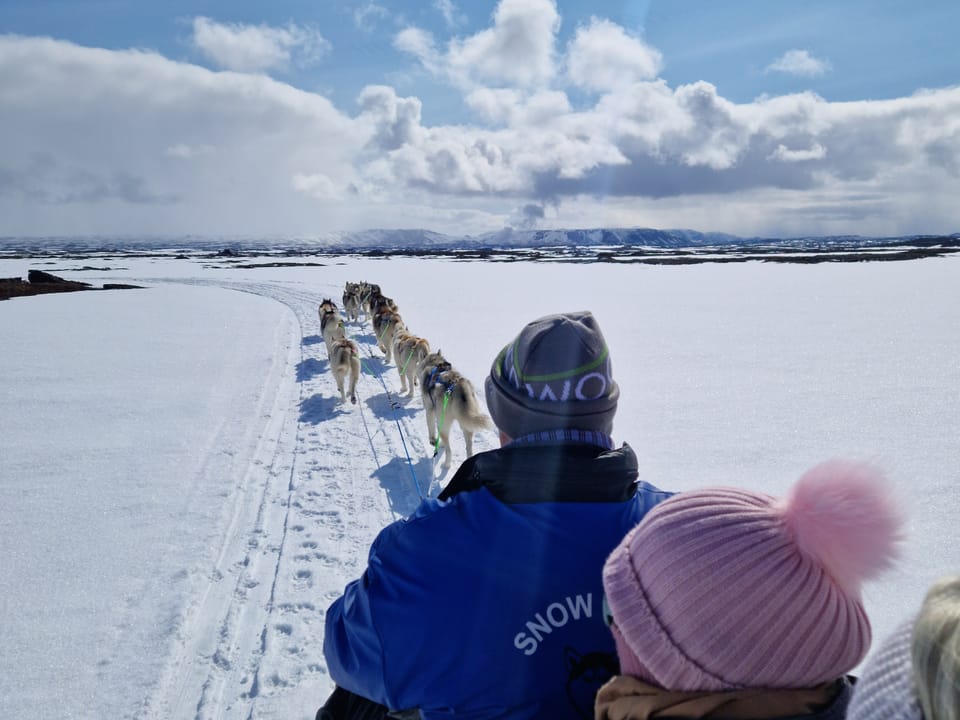 Dog Sledding and Goðafoss experience from Akureyri — Snow Dogs