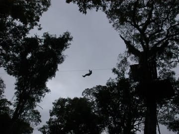 Jungle Climbing and Hiking Adventure in Puerto Iguazú