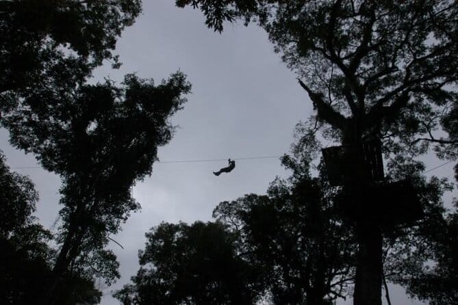 Jungle Fly: Adventure at the Jungle in Iguazu 3
