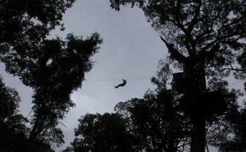 Jungle Climbing and Hiking Adventure in Puerto Iguazú