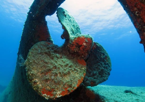 Discover Scuba Diving - Athens photo 5